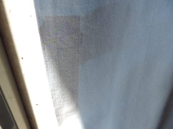 tokyogimmicks glog.JPG